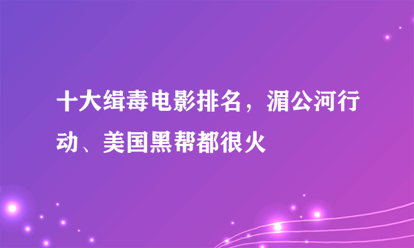 十大缉毒电影排名，湄公河行动、美国黑帮都很火