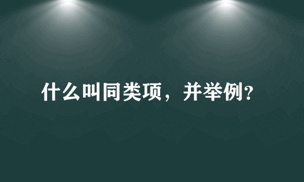 什么叫同类项，并举例？