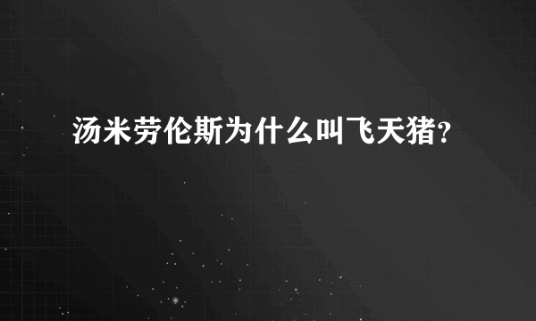 汤米劳伦斯为什么叫飞天猪？