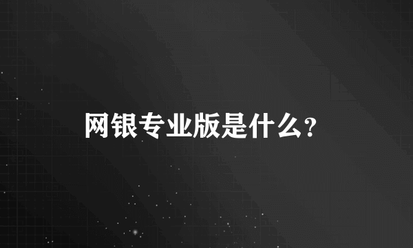 网银专业版是什么？