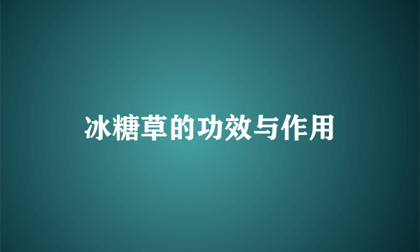 冰糖草的功效与作用