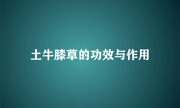 土牛膝草的功效与作用