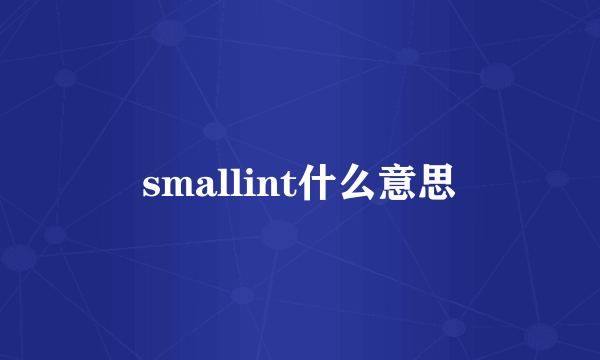 smallint什么意思