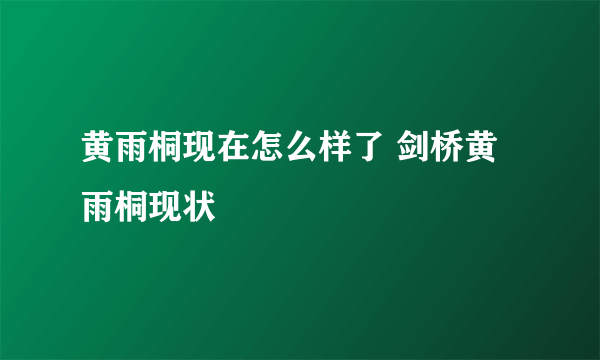 黄雨桐现在怎么样了 剑桥黄雨桐现状