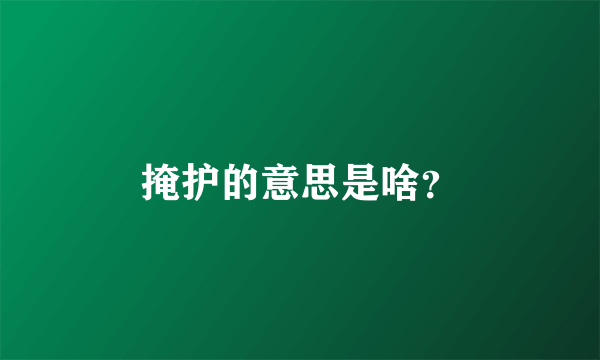 掩护的意思是啥？