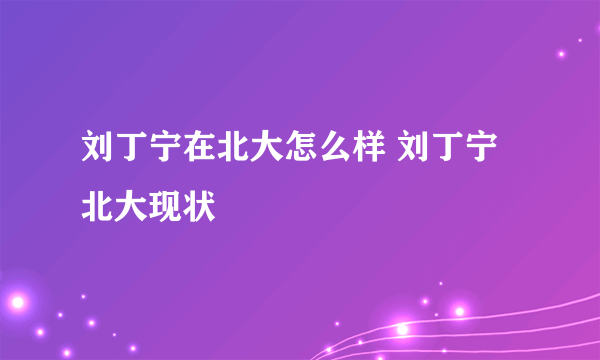 刘丁宁在北大怎么样 刘丁宁北大现状