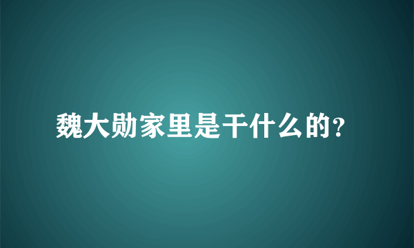 魏大勋家里是干什么的？