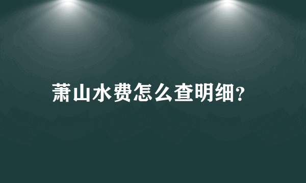 萧山水费怎么查明细？