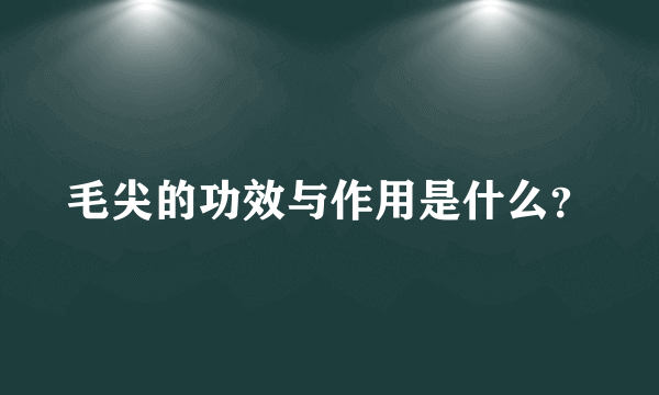 毛尖的功效与作用是什么？