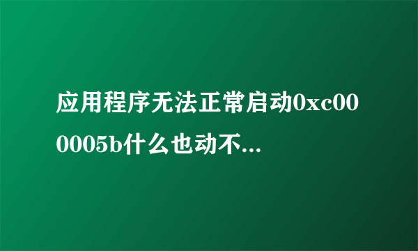 应用程序无法正常启动0xc000005b什么也动不了怎么修复