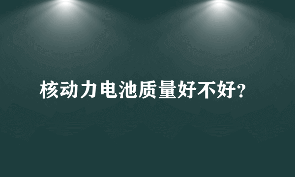 核动力电池质量好不好？