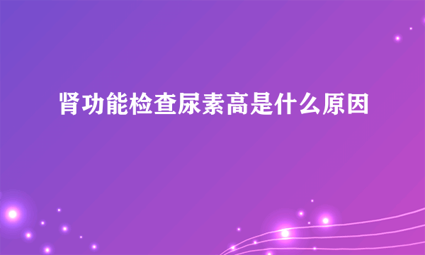 肾功能检查尿素高是什么原因