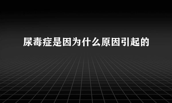 尿毒症是因为什么原因引起的