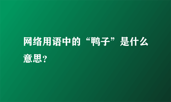 网络用语中的“鸭子”是什么意思？