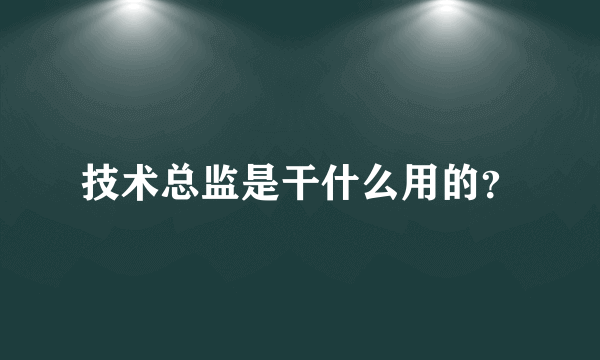 技术总监是干什么用的？