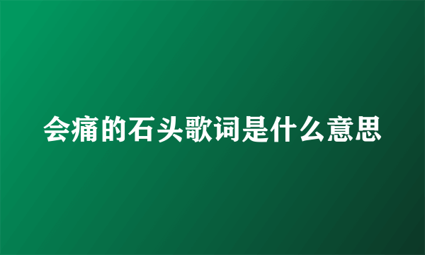 会痛的石头歌词是什么意思