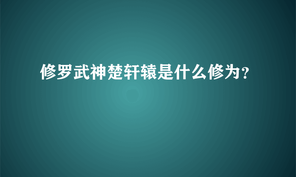 修罗武神楚轩辕是什么修为？