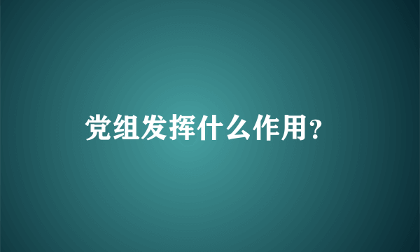 党组发挥什么作用？