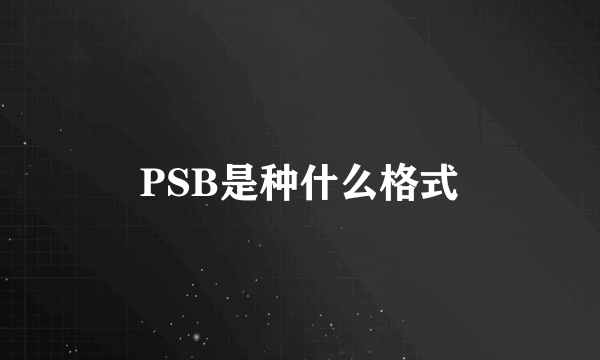 PSB是种什么格式