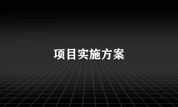 项目实施方案