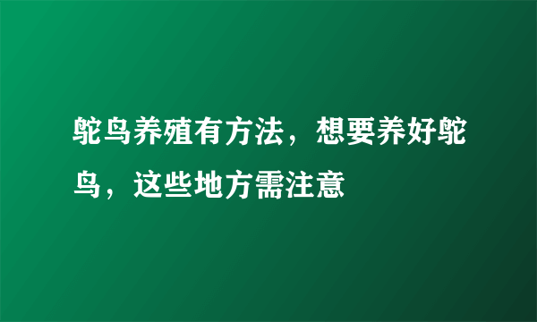 鸵鸟养殖有方法，想要养好鸵鸟，这些地方需注意