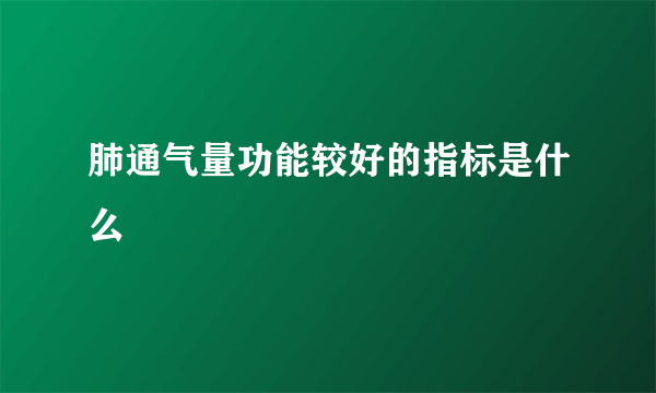 肺通气量功能较好的指标是什么