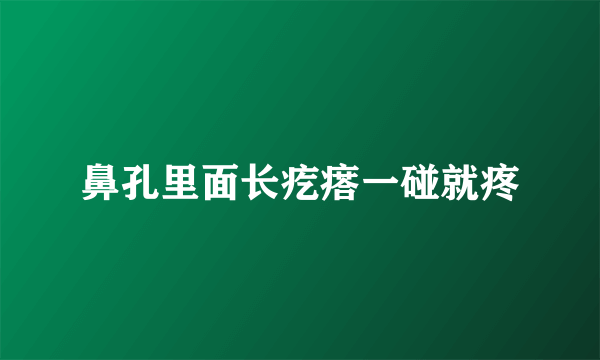 鼻孔里面长疙瘩一碰就疼