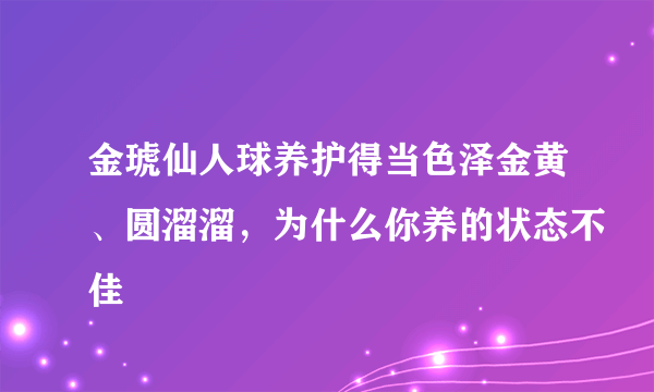 金琥仙人球养护得当色泽金黄、圆溜溜，为什么你养的状态不佳