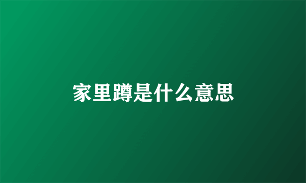 家里蹲是什么意思