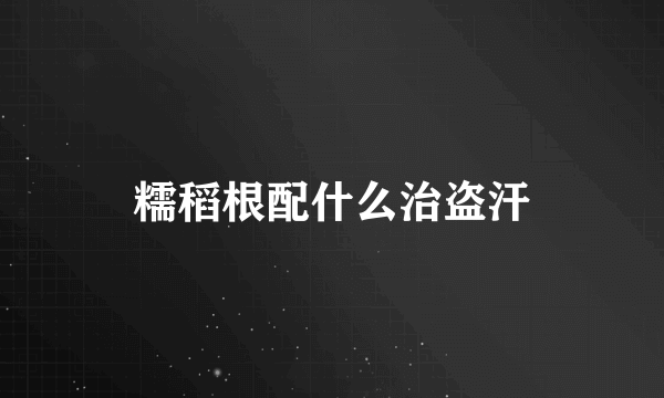 糯稻根配什么治盗汗