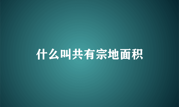 什么叫共有宗地面积