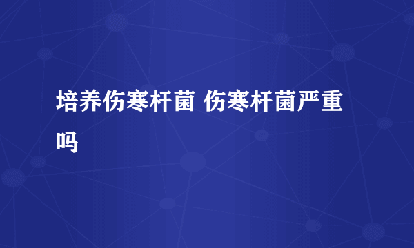 培养伤寒杆菌 伤寒杆菌严重吗