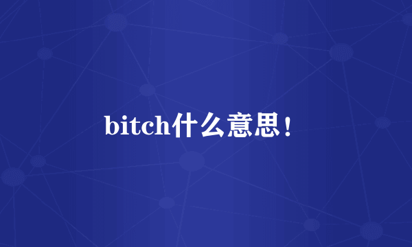 bitch什么意思！