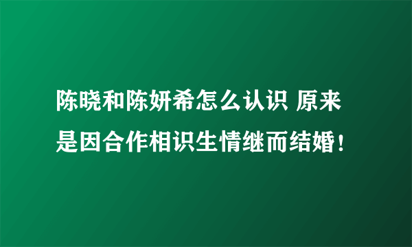 陈晓和陈妍希怎么认识 原来是因合作相识生情继而结婚！