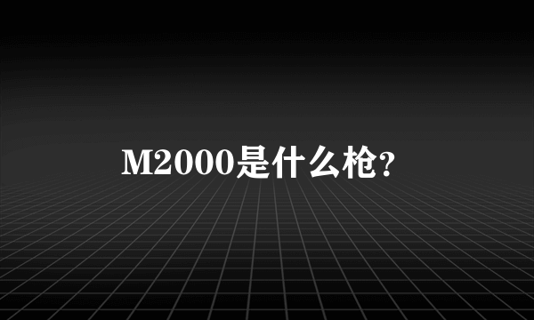 M2000是什么枪？