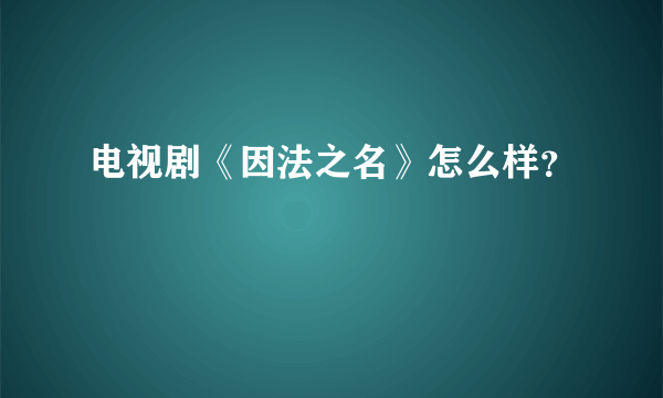 电视剧《因法之名》怎么样？