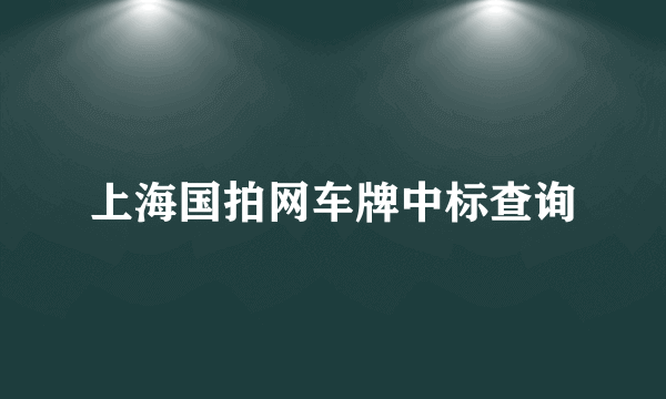 上海国拍网车牌中标查询