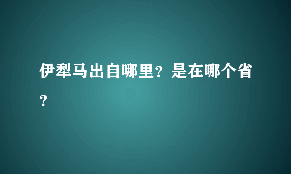 伊犁马出自哪里？是在哪个省？