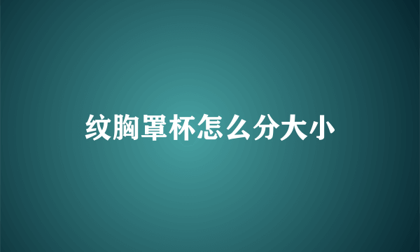 纹胸罩杯怎么分大小