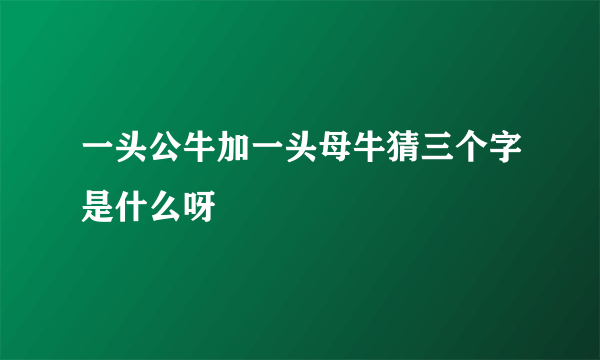 一头公牛加一头母牛猜三个字是什么呀