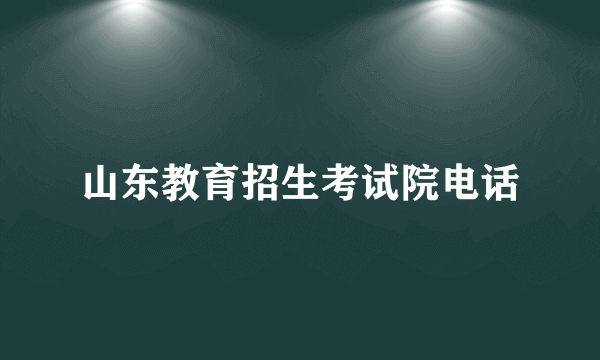 山东教育招生考试院电话