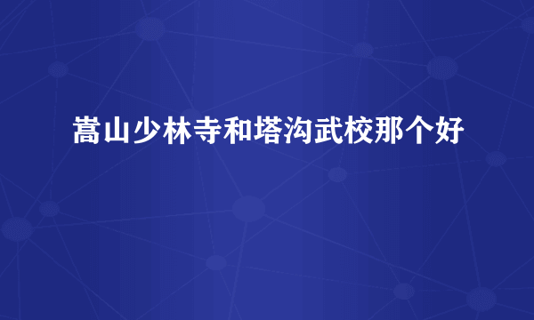 嵩山少林寺和塔沟武校那个好