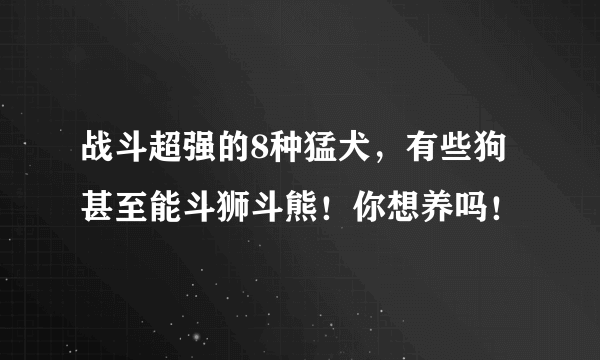 战斗超强的8种猛犬，有些狗甚至能斗狮斗熊！你想养吗！