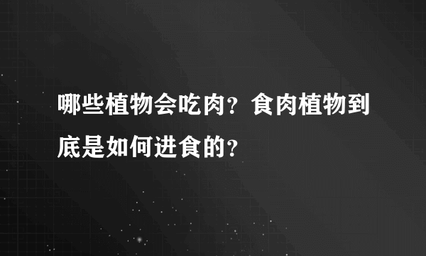 哪些植物会吃肉？食肉植物到底是如何进食的？