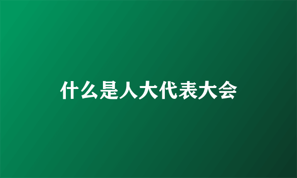 什么是人大代表大会