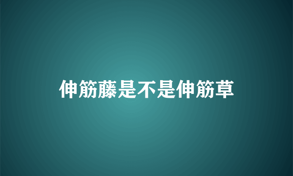 伸筋藤是不是伸筋草