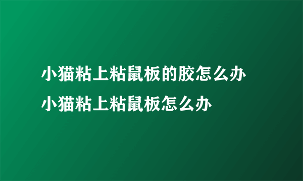 小猫粘上粘鼠板的胶怎么办 小猫粘上粘鼠板怎么办