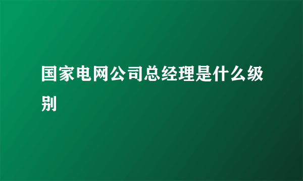 国家电网公司总经理是什么级别