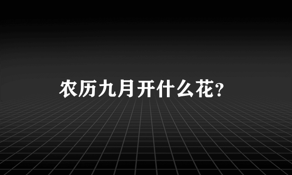 农历九月开什么花？