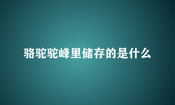 骆驼驼峰里储存的是什么